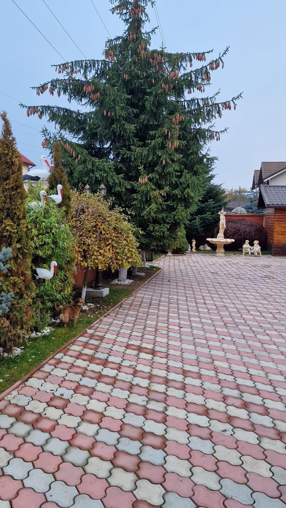 Pensiunea Toma Ploieşti Exteriör bild